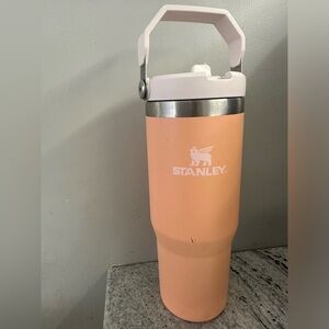 Stanley IceFlow 30oz Melon - Used 🍈🤍